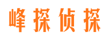 邵东市场调查